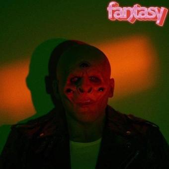 Virgin Records M83 Fantasy Plak - M83 