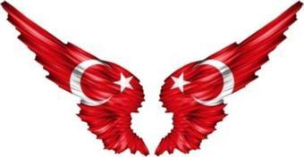 Ay Yıldız Bayrak Sticker Kanata Şeklinde Araba Aynası Için 13cm