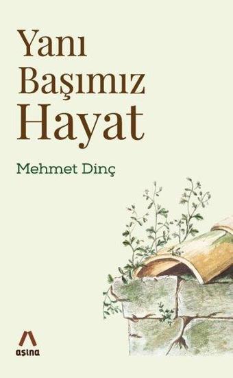 Yanı Başımız Hayat - Mehmet Dinç - Aşina