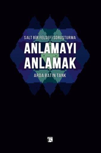 Salt Bir Felsefi Soruşturma - Anlamayı Anlamak - Alaska Yayınları