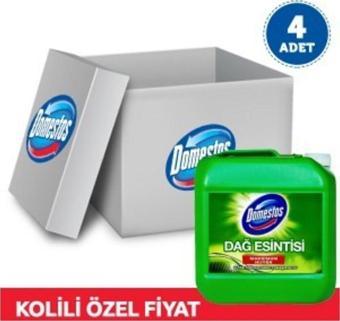 Domestos Çamaşır Suyu Dağ Esintis & Çam Ferahlığı İ 3.5 Lt 4 Adet