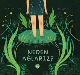 Neden Ağlarız? - Fran Pintadera - Bulutsu Yayınları