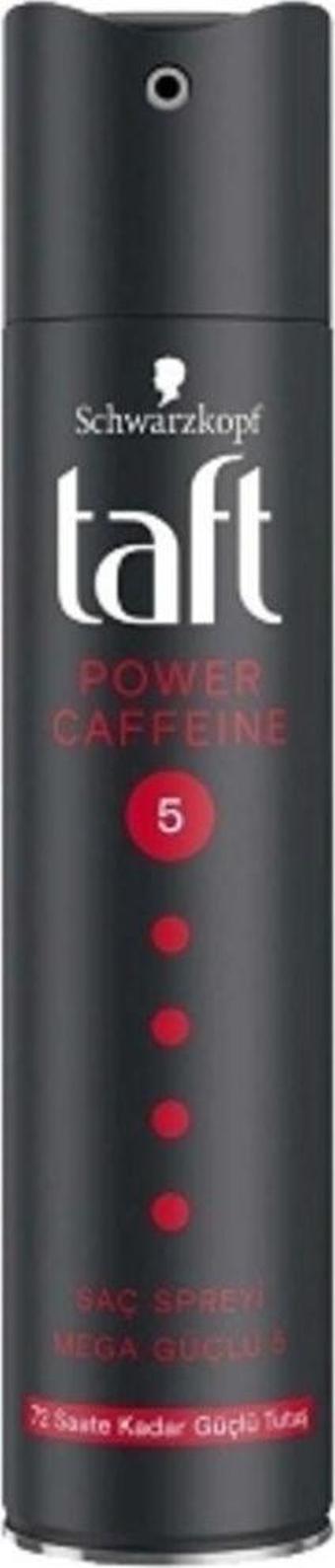 Taft 2'Li Taft Saç Spreyi Power 250 Ml