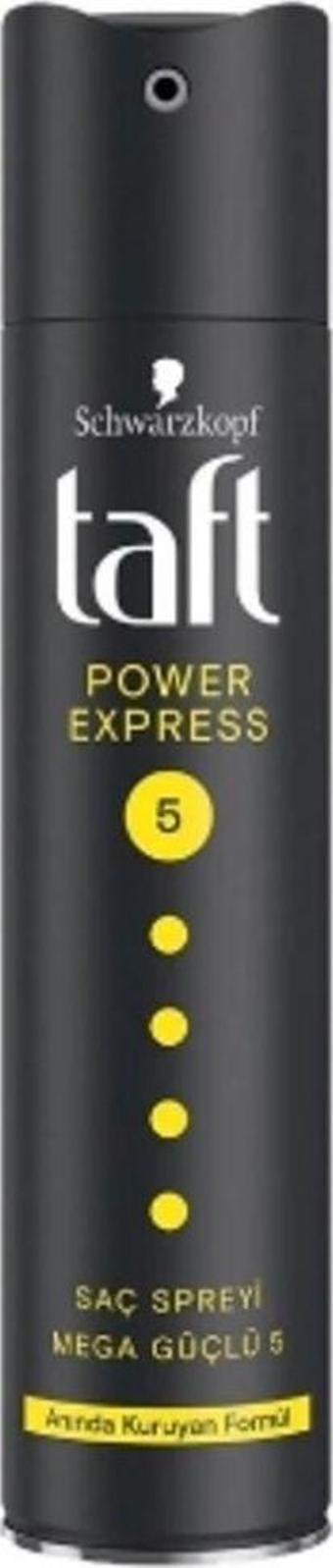 Taft 4'Lü Taft Saç Spreyi Power 250 Ml. Expres