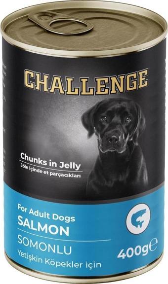 Challenge Somonlu Yetişkin Köpek Konservesi 400 Gr