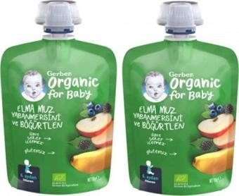 Gerber Organik Muzlu Yabanmersinli Böğürtlenli Elma Püresi 90g x 2