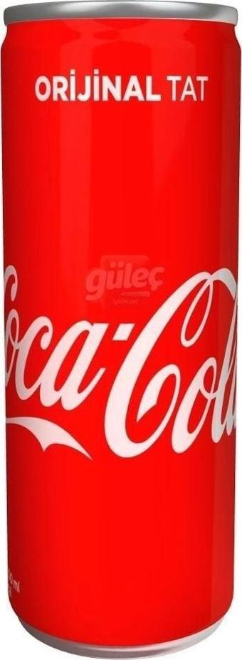 COCA COLA 200ML KUTU