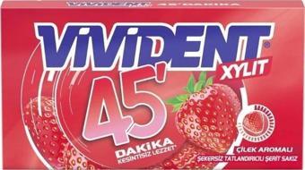 VİVİDENT CZD45 DAK.ÇİLEK 26GR