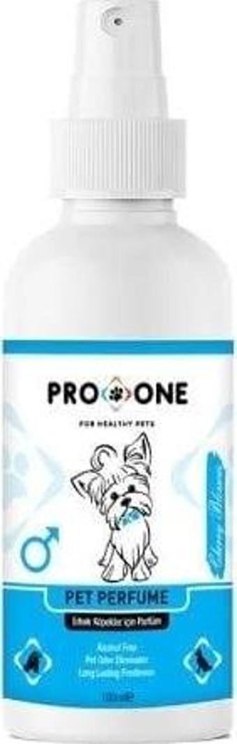 Pro One Kiraz Çiçeği Kokulu Erkek Köpek Parfümü 100 Ml