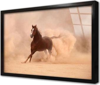 Tablosan Tozu Dumana Katan At Çerçeveli Cam Tablo 60x90 cm