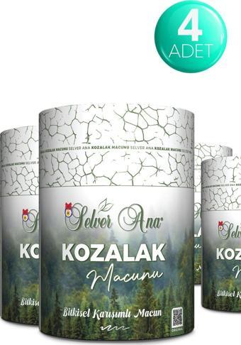 Selver Ana Kozalak Macunu 240 gr 4 Adet