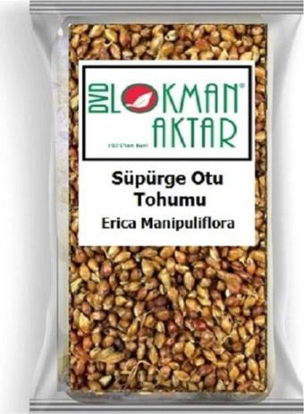 Lokman Aktar Süpürge Otu Tohumu 250 Gr