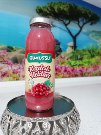 Gümüşsu Kızılcık Nektarı (Kızılcık Meyve Suyu) 250 Ml 24'Lü Koli