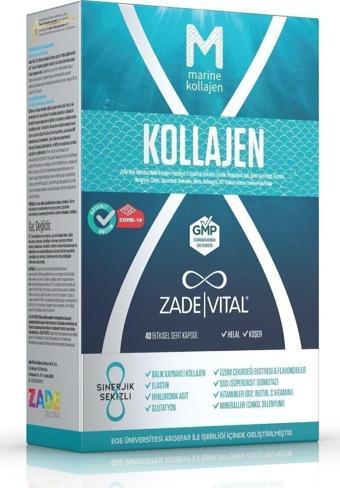 Zade Vital Marine Collagen Hyaluronic Acid 40 Bitkisel Sert Kapsül