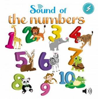 SOUND OF THE NUMBERS - TurtleKids