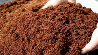 10 LT Cocopeat-Hindistan Cevizi Torfu