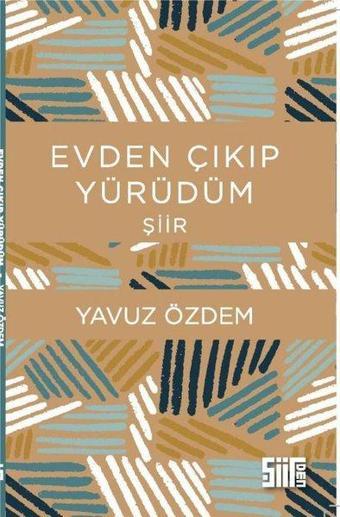 Evden Çıkıp Yürüdüm - Yavuz Özdem - Şiirden Yayınları