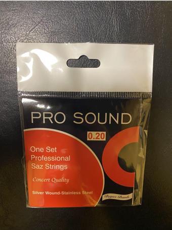 Prosound Saz Teli Uzun Sap Saz Teli Bağlama Teli Tezene Hediyeli 0,20