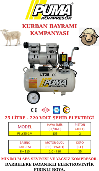 Puma 25 Lt Kompresör (YAĞSIZ)