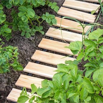 İahşap Yürüyüş Bahçe Yolu Ahşap Yolu 250 Cm Veranda Yolu Genişlik 40 Cm