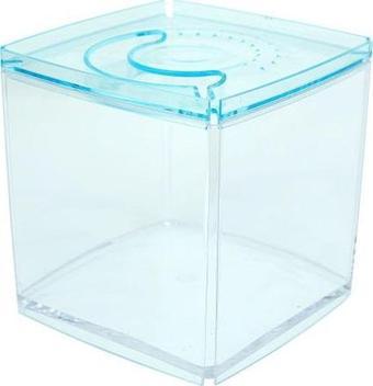 Ista Stylish Display Case - Kare Tank - Mavi