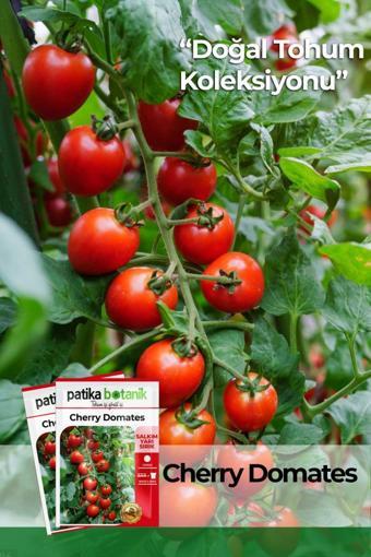 250 Adet Yerli Cherry Domates Tohumu