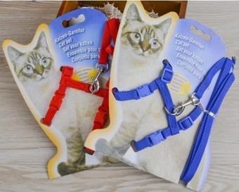Kedi Tasması