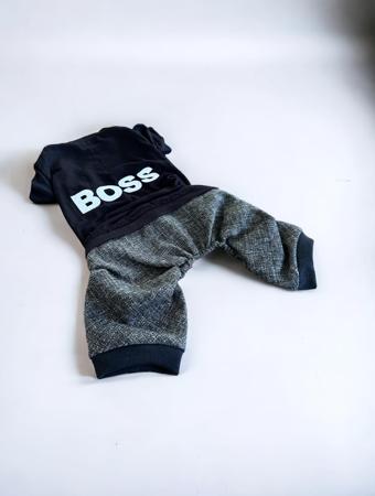 Chique Boss Tulum Kedi Kıyafeti