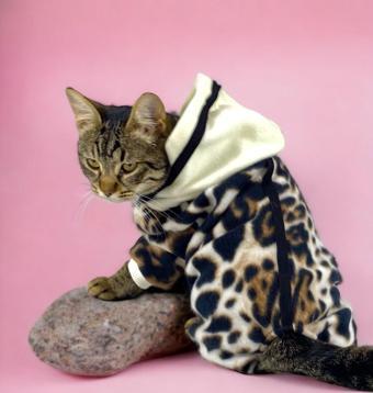 Leo Chiquee Polar Kapşonlu Duo Kedi Tulumu Kıyafeti