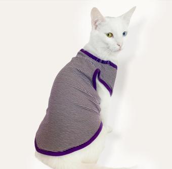 Purple Stripe Atlet By Kemique Kedi Kıyafeti Kedi Elbise