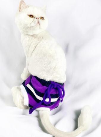 Modern Purp Kemique's Secret Kedi İç Çamaşırı  Regl Külot  Don