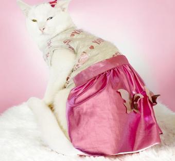 Yassi Glitz Kedi Elbisesi, Kedi Kıyafeti , Kedi Kostümü
