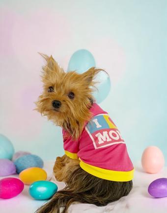 Hediye Paketli, Anneler Günü, I Love Mom Pink,Oval Yaka Tişört Köpek Kıyafeti,Elbisesi Anneler Günü, Anneye, Anne 
