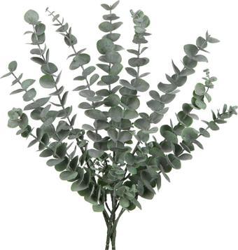 Yapay Çiçekçiniz 5 Dallı Gerçek Dokulu 45 Cm Yapay Okaliptus Demeti