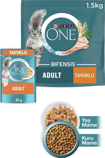 PURINA ONE Adult Tavuklu Tam Tahıllı Yetişkin Kedi Maması 1.5kg + Tavuklu Yaş Kedi Maması 85g