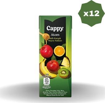 Cappy Atom Meyve Nektarı 200 Ml - (12 Adet)