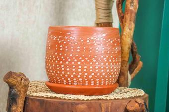 Bitki Tasarımı  Beyaz Nokta Desenli Doğal Tabaklı Terracota Toprak Saksı Saksılık Salon Çiçeklik 19 CM