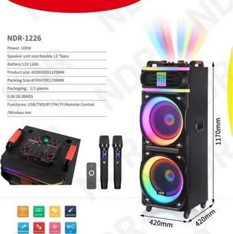 Platoon PL-4609 RGB Işıklı USB/TF/FM/BT/TWS Kablosuz Mikrofonlu Öğretmen/Toplantı Amfisi (NDR-1226)