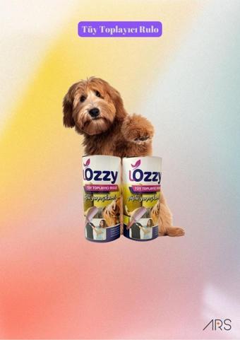 Lozzy Tüy Toplama Yedek Rulosu 2'li Paket