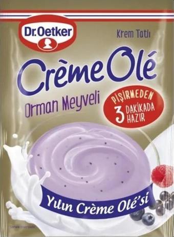 Dr.oetker Creme Ole Ormanmeyve Aromalı 110 Gr