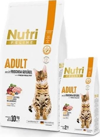 Nutri Feline Tavuklu Yetişkin Tahılsız Kedi Maması 10 kg