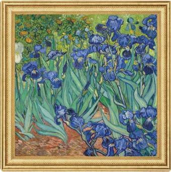 Irises Vincent Van Gogh 170. Anniversary 2023 2 Ons Gümüş Sikke Coin