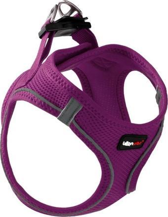 Leon Pet Air Mesh Mor Göğüs Tasması Large