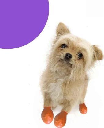 Alphadog Walkies Galoş Patik Turuncu XXSmall