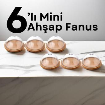 Bernardo Ahşap Mini Fanus 6'Lı Avantajlı Paket