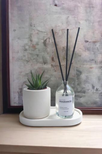 Havalı Tasarım Dekoratif Beton Sukulent Saksısı Fresh Soft Oda Kokusu Set Standlı