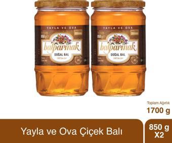 Balparmak Yayla ve Ova Çiçek Balı 850 g x 2 Adet