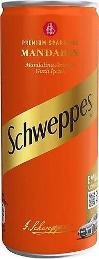 Schweppes Mandalina Kutu 250 ml 12'Li