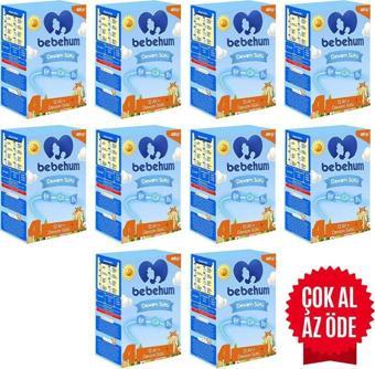 Bebehum 4 Devam Sütü 400 Gr 12 Ay 10 Adet