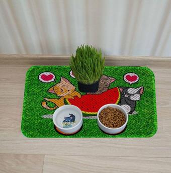 Aktunç Kedi Köpek Mama Ve Su Kabı Altı Paspası + Tırmalama